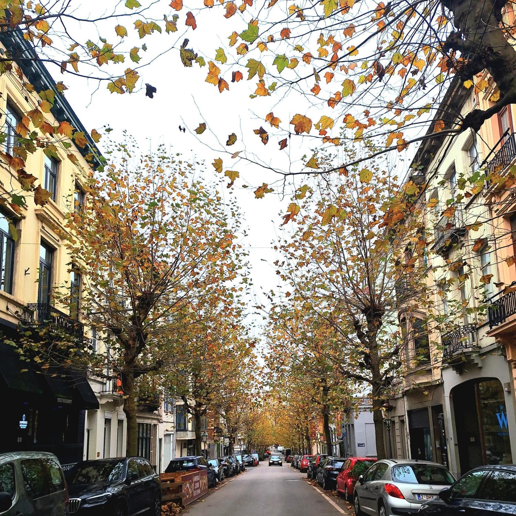 Le Duplex-suite Josephine Bruselas